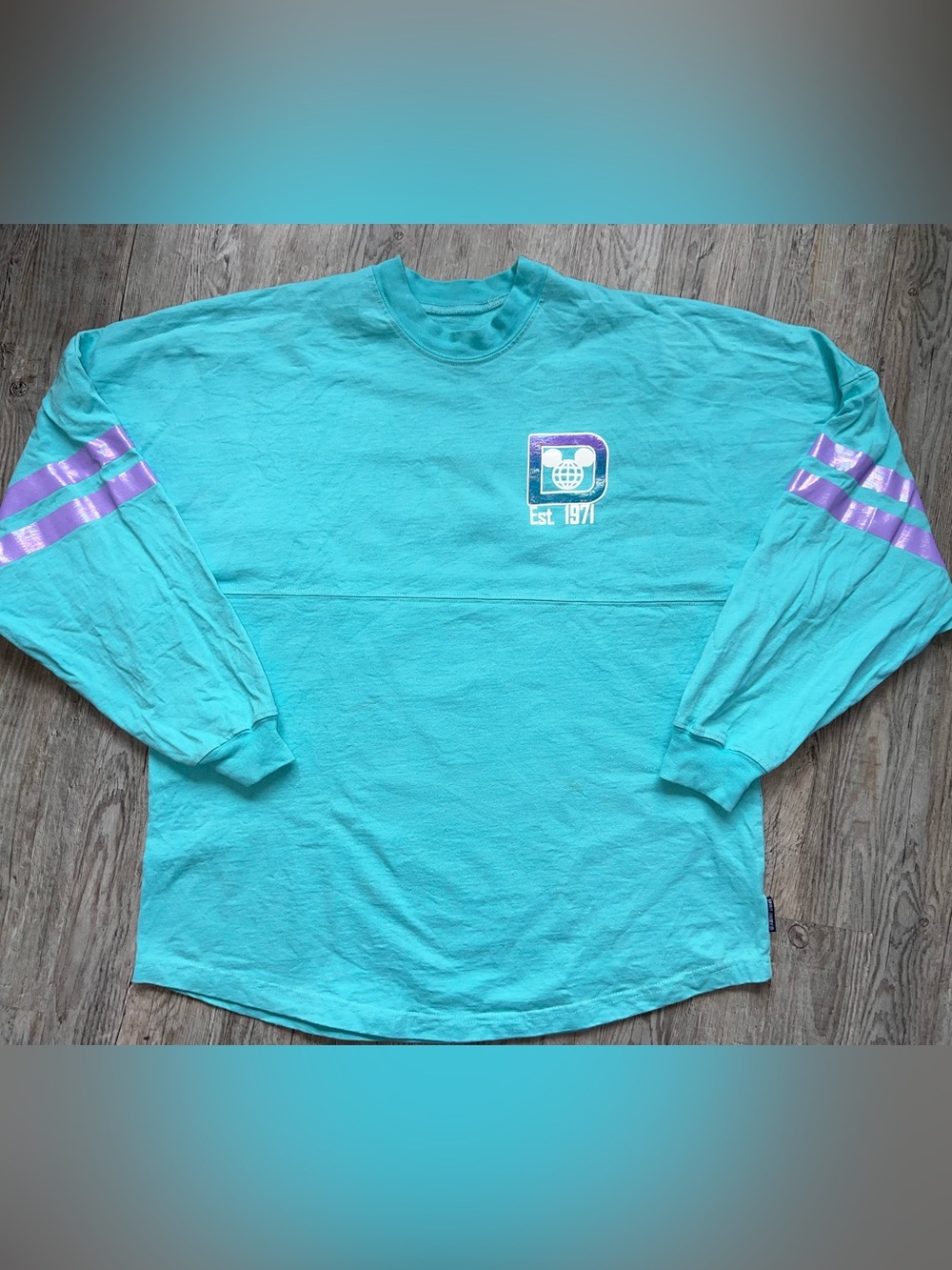 Walt Disney World Spirit Jersey Teal and Purple Iridescent